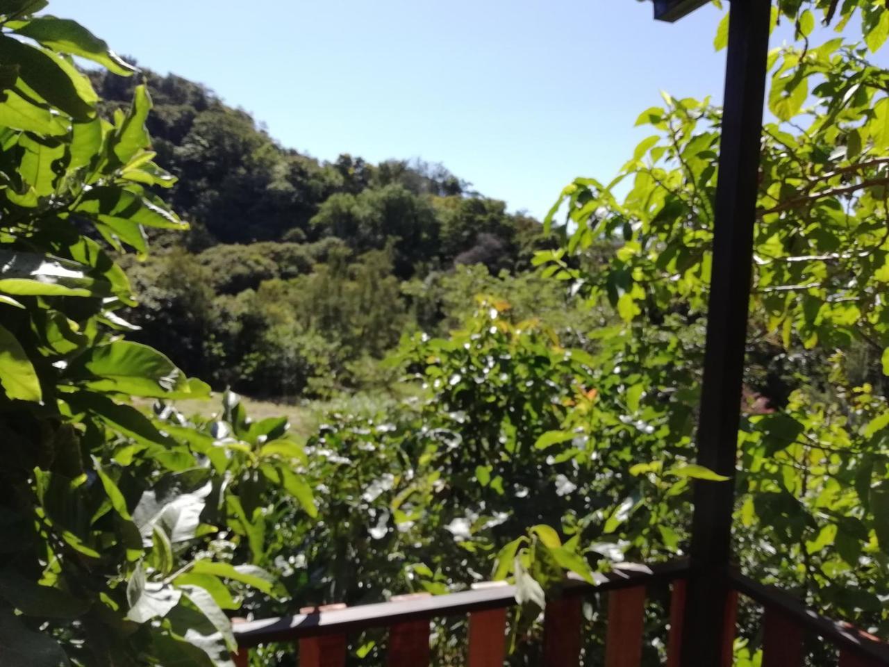 La Guayaba Monteverde Exteriér fotografie